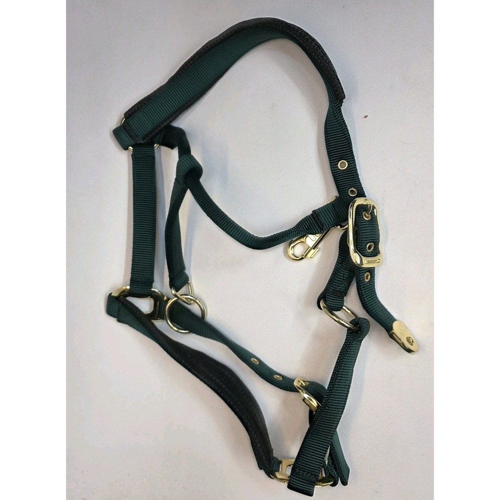 NEW Full Size Horse Halter, Box-Stitching Hunter Green